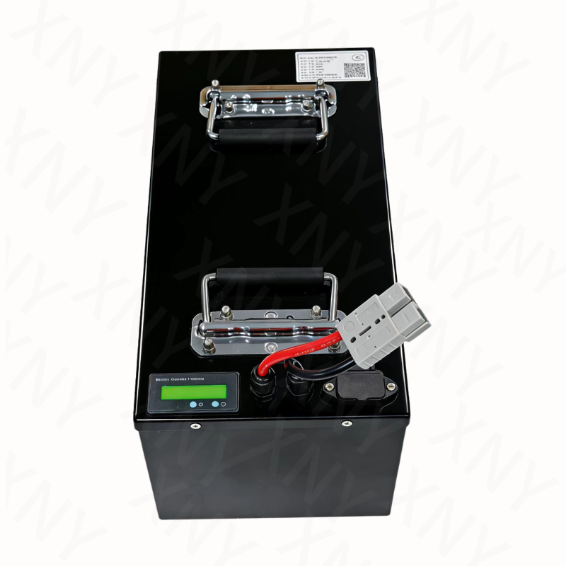 Литиевая батарея XNY-72V LiFeP – обзор и цена 72V 40Ah Lifepo4 Battery Pack